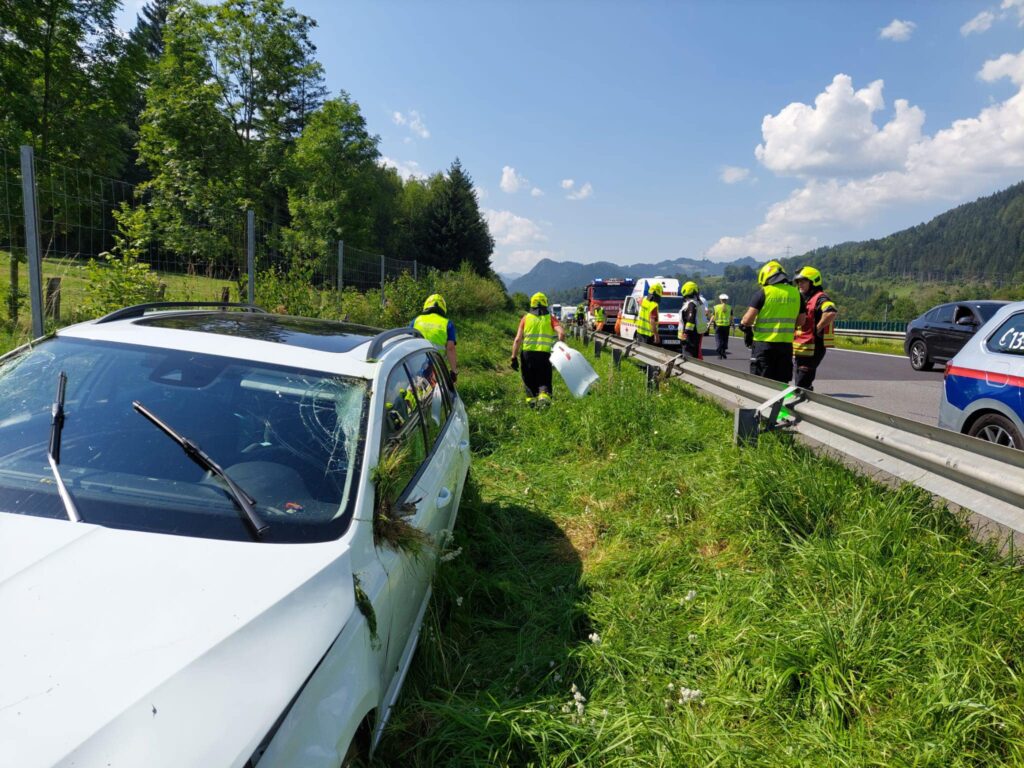 22.08.2023 | T03V – Verkehrsunfall A9 zwischen Mautern und Kammern