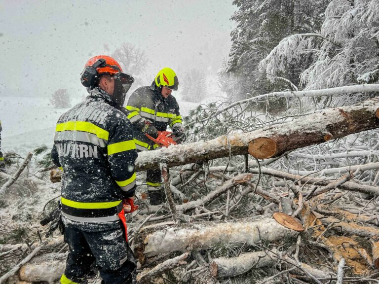 02.12.2023 | Einsatzserie durch Schneefall