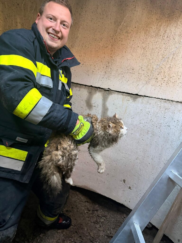 09.02.2026 | T08 – Tierrettung Katze in Schacht