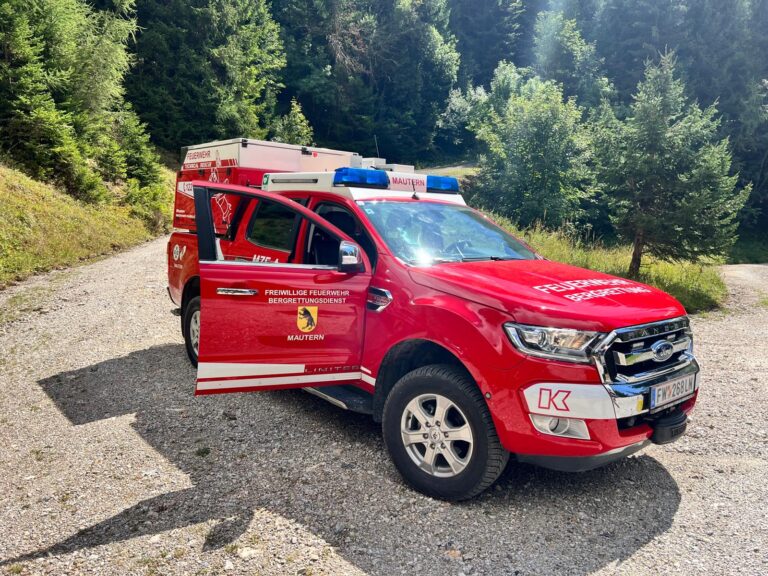01.09.2026 | T10 – Verkehrsunfall E-Call-Alarm Reitingau